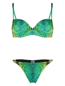 Noire Swimwear bikini à imprimé peau de serpent - Vert