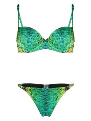 Noire Swimwear bikini à imprimé peau de serpent - Vert