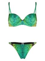 Noire Swimwear bikini à imprimé peau de serpent - Vert