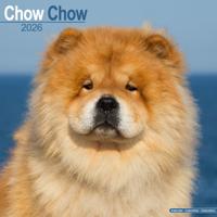 Chow Chow Kalender 2026
