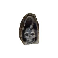 Kristallen Schedel Agaat met Slang - 80 mm Kristallen Schedel Agaat met Slang - 80 mm