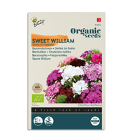 Zaden dianthus enkel gemengd 1 gram - Tuinplus