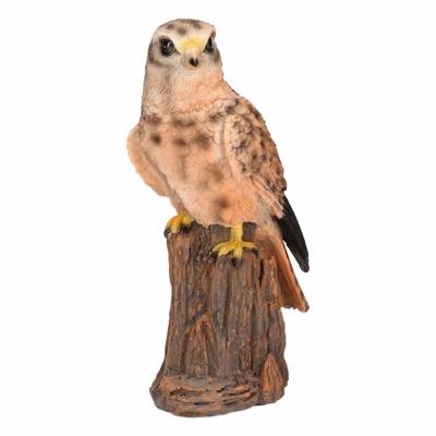 Decoratie beeldjes - torenvalk - roofvogel - 22 cm - Dieren