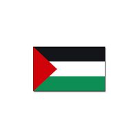 Landen thema vlag Palestina 90 x 150 cm feestversiering