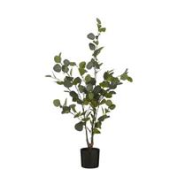 Mica Decorations Kunstplant Eucalyptusboom in Pot - H120 x Ø55 cm