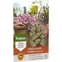 Pokon terras & balkon voedingskegels 10 stuks