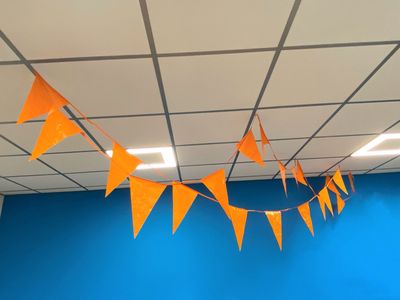 Oranje vlaggenlijn 10 meter lang met 18 puntvlaggen