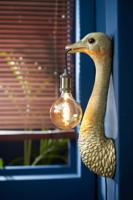 Ostrich