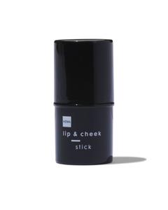 HEMA Stick Lip & Cheek Vintage Pink (oudroze)