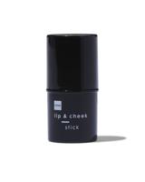 HEMA Stick Lip & Cheek Vintage Pink (oudroze)
