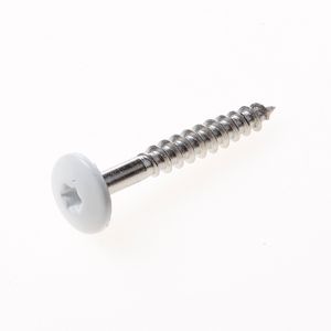 Kleurkopschroef rvs wit ral9010 4.8x70 t20