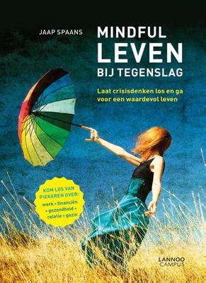 Mindful leven bij tegenslag - Jaap Spaans - ebook