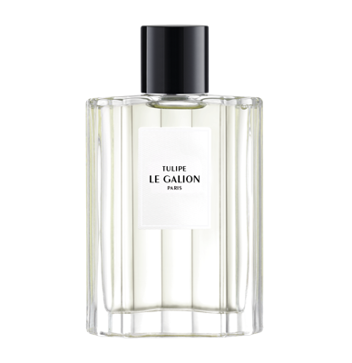 Le Galion Tulipe Eau de Parfum 100ml | Unisex Parfum