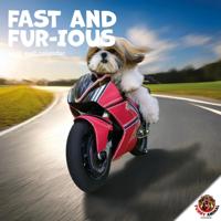 Fast & Fur-ious Kalender 2026