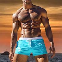 Voor heren Lange zwembroeken Zwemshorts Boardshorts Netstof Zak met Mesh-voering Elastische tailleband Short / Broekje Sport Outdoor Strand Zwembad Herfst Ademend Sneldrogend Lichtgewicht Zacht Lightinthebox