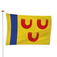 Vlag Leudal