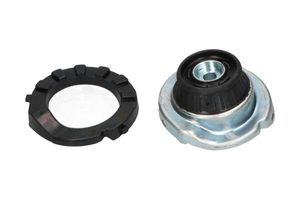 Veerpoot SSM10099
