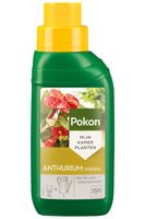 Anthurium Voeding 250ml - Pokon - thumbnail
