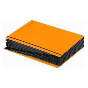 Pagna 24079-09 sorteermap Oranje Karton, Polypropyleen (PP) A4