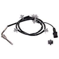 Uitlaatgastemperatuursensor 100842