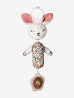 Rammelaar om aan op te hangen rozen