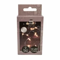 Draadverlichting Zilver 10 LED 1m WW