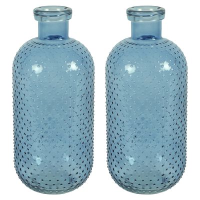 Bloemenvaas Cactus Dots - 2x - blauw transparant - glas - D15 x H35 cm
