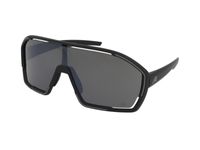 Zonnebrillen Alpina Bonfire Q-Lite Black Matt
