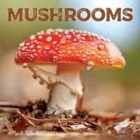 Paddenstoelen Kalender 2026 Mini