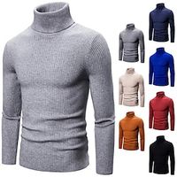 Voor heren Trui Coltrui Bijgesneden trui Geribd breien Normaal Gebreid Effen Coltrui Modern eigentijds Werk Alledaagse kleding Kleding Winter Wijn Zwart M L XL Lightinthebox