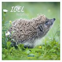 Egel Kalender 2026