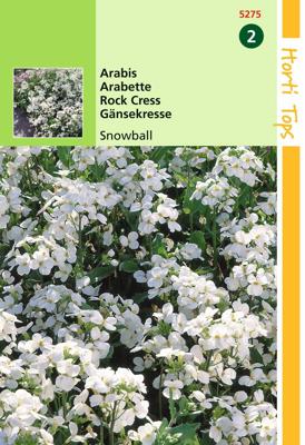Arabis Alpina Comp. Snowball - Hortitops