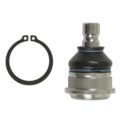 Fuseekogel ADG08684