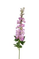 Delphinium l78cm mauve kunstbloem Louis Maes - Louis maes