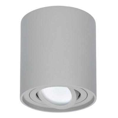 Ronde LED Opbouwspot Ray - 5 Watt 400 lumen - 6000K daglicht wit - Kantelbaar - GU10 - Opbouwspot - IP20 Voor binnen - Grijs - Dimbaar