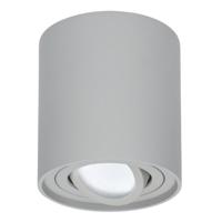 Ronde LED Opbouwspot Ray - 5 Watt 400 lumen - 6000K daglicht wit - Kantelbaar - GU10 - Opbouwspot - IP20 Voor binnen - Grijs - Dimbaar