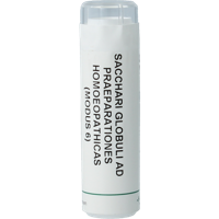 Homeoden Heel Saccharum officinalis/Placebo granulen 6 Gram