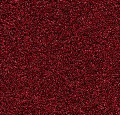 Coral Bright 2603 Vivid Earth 90 cm breed