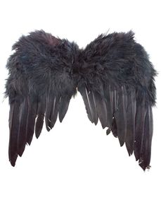 Vleugels met zwarte veren (33x34cm)