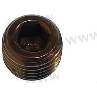 PAF15-07010005 - PLUG 1/4" - 18NPT Parsun
