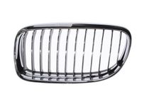 Radiateurgrille 6502070062991PP
