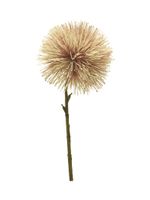 Taraxacum flower pink 47cm