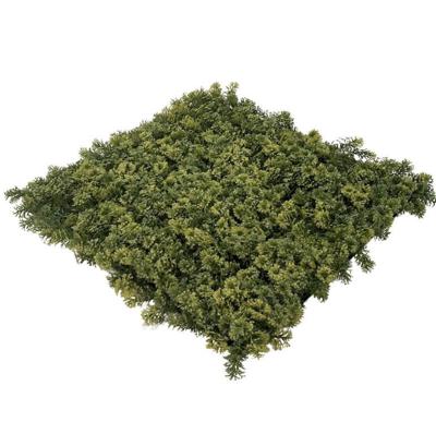 EasyLawn Grass Kunstplantenmat wandplant kunststof Moss 1m2 - Easylawn grass