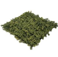 EasyLawn Grass Kunstplantenmat wandplant kunststof Moss 1m2 - Easylawn grass EasyLawn Grass Kunstplantenmat wandplant kunststof Moss 1m2 - Easylawn grass
