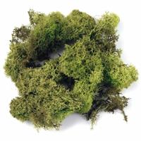 Decoratie mos - 2x - lichtgroen - 100 gram - Knutselen/bloemisterij materialen