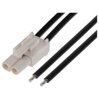 Molex 216291-1022 Inhoud: 1 stuk(s) Bulk