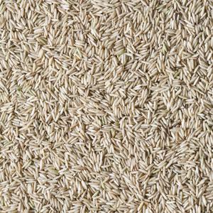 Basmati rijst volkoren (Biologische) 1250 gram