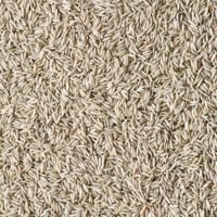 Basmati rijst volkoren (Biologische) 1250 gram - thumbnail