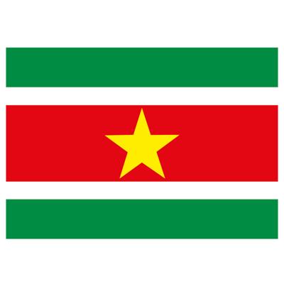 Vlag van Suriname stickers - 7.5 x 10 cm - Binnen/buiten