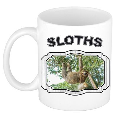 Dieren hangende luiaard beker - sloths/ luiaarden mok wit 300 ml